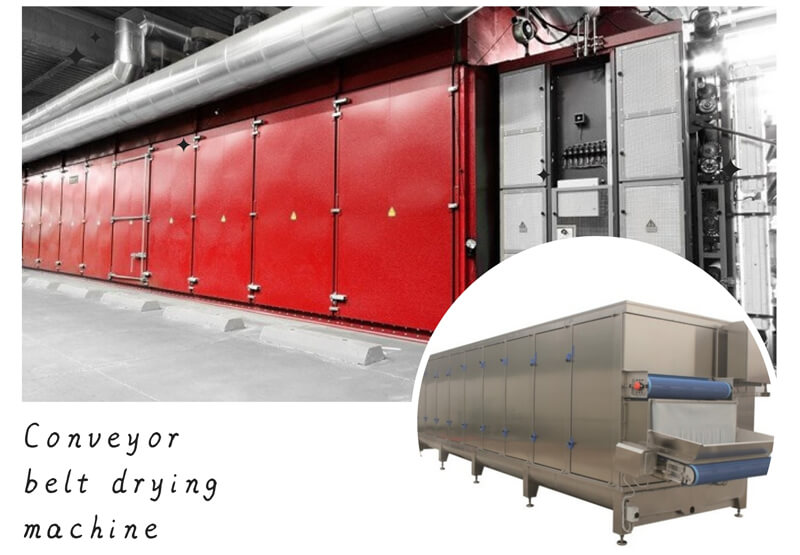 Microwave meat drying machine - Industrial Drying Machine
