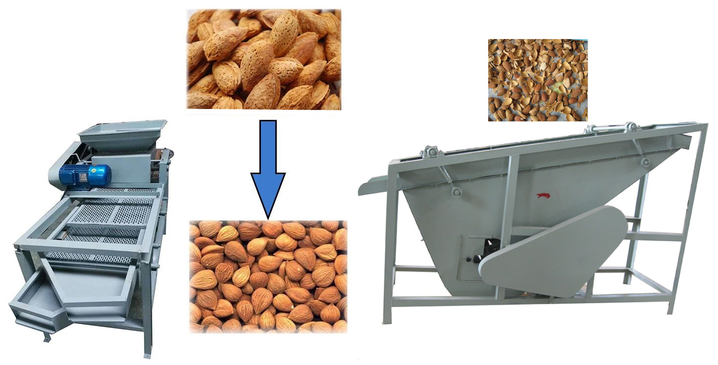 Wet Type Almond Peeling Machine  Compact Nut Peeling Machine Suitable for  Almonds Peanuts and Other Nuts