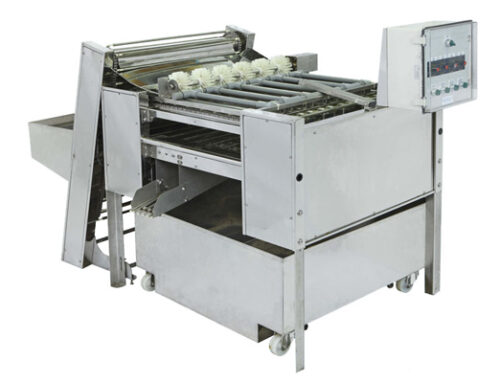 Automatic Chicken Eggs Peeling Machine