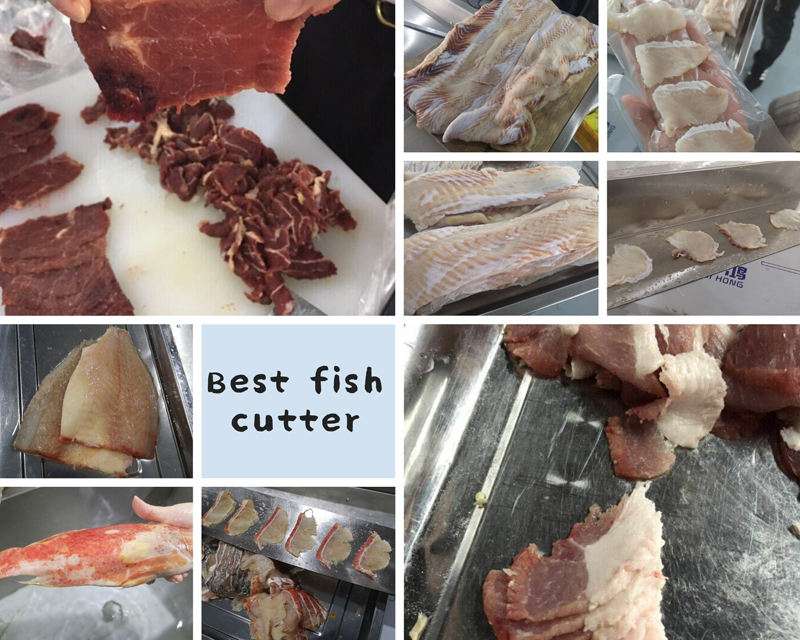 best fish meat slicing machine application
