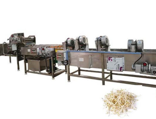 Bean Sprouts Washing and Dewatering Machine Line