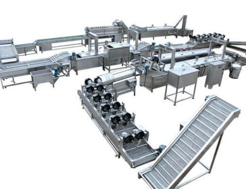 Fully Automatic Frozen Fries Plant