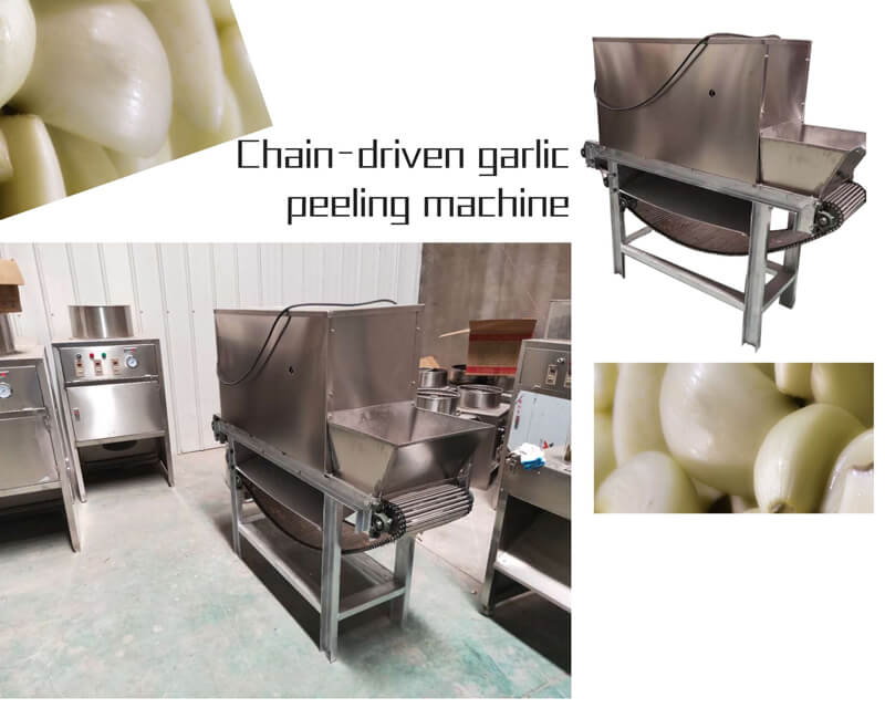 top garlic peeling machine with large capacity