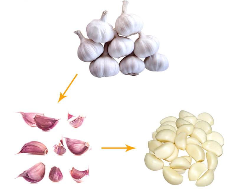 garlic peeling line processing steps