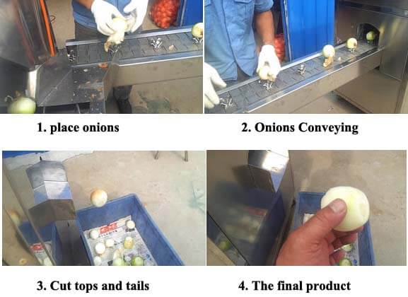 https://www.tondefoodmachine.com/wp-content/uploads/2020/01/working-process-of-onion-top-and-end-cutting-machine.jpg