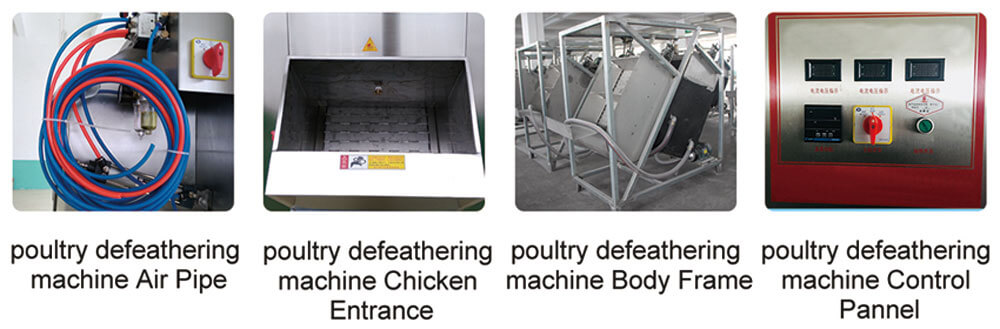 details parts of automatic poultry plucking equipment